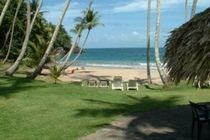 Tambora Beach Suites Лас Теренас Екстериор снимка